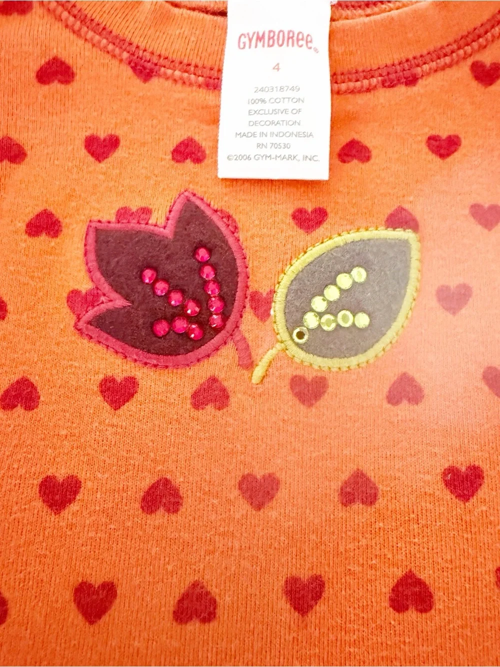 Girls 4 • Gymboree matching fall set long sleeve + skirt set